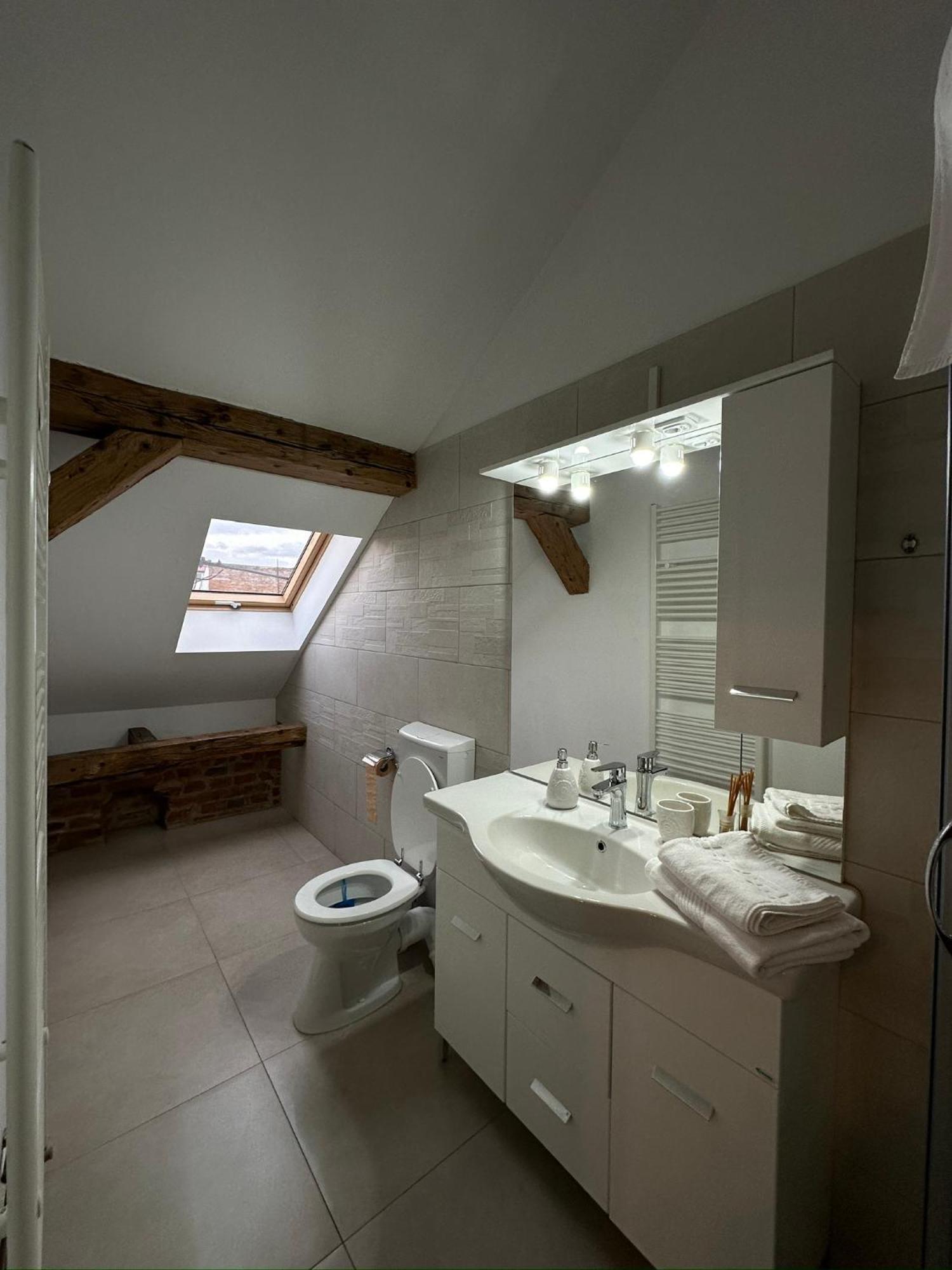 Antique Aparthotel Alba Iulia Eksteriør billede